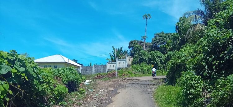 ec1669f2-022e-4173-a7fc-56633d3f3645