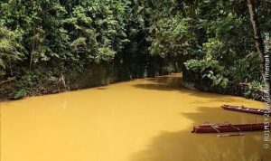 Sungai Sagea, Kondisi airnya sangat memprihatinkan, air sungai yang biasanya jernih bahkan kehijauan, kini kondisinya seperti air kubangan foto warga