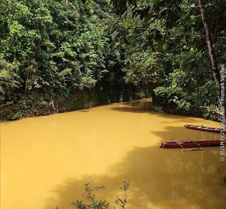 Sungai Sagea, Kondisi airnya sangat memprihatinkan, air sungai yang biasanya jernih bahkan kehijauan, kini kondisinya seperti air kubangan foto warga