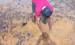 Kondisi pesisir berlumpur tambang